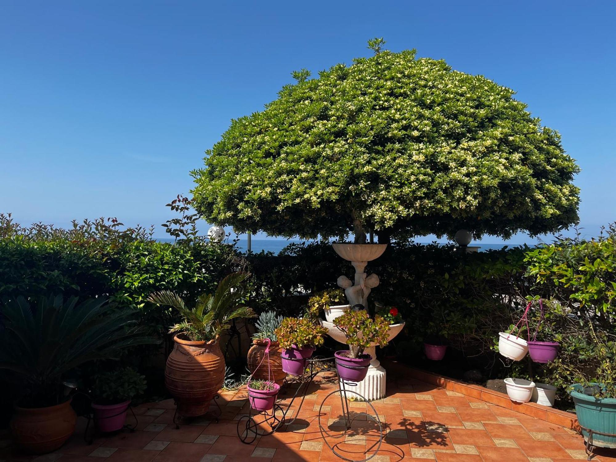 Family Sea & Garden View Apartment Preweza Zewnętrze zdjęcie